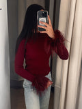 Pull Manches avec plumes Bordeaux